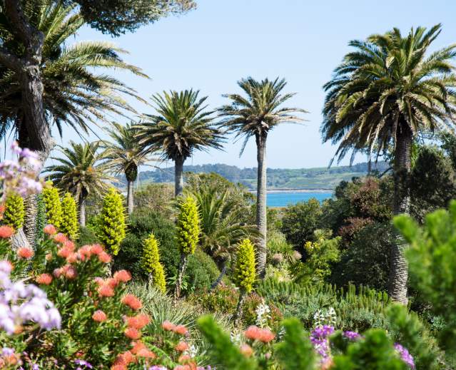 Tresco Abbey Garden