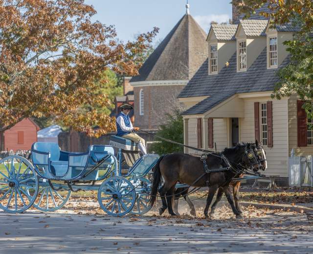 Colonial Williamsburg Carriage