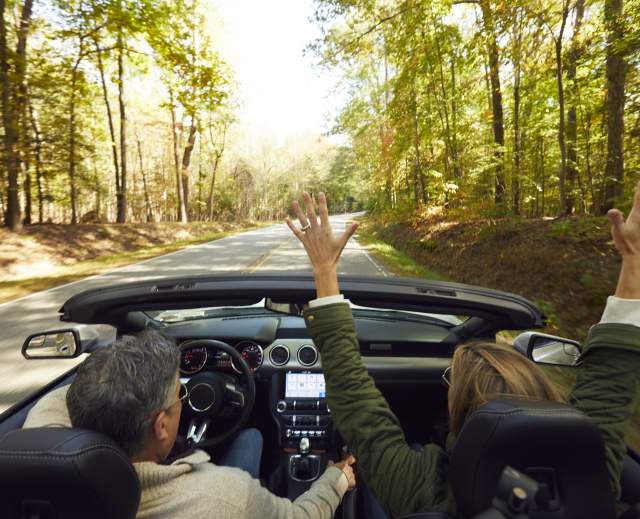 Fall Driving Couple