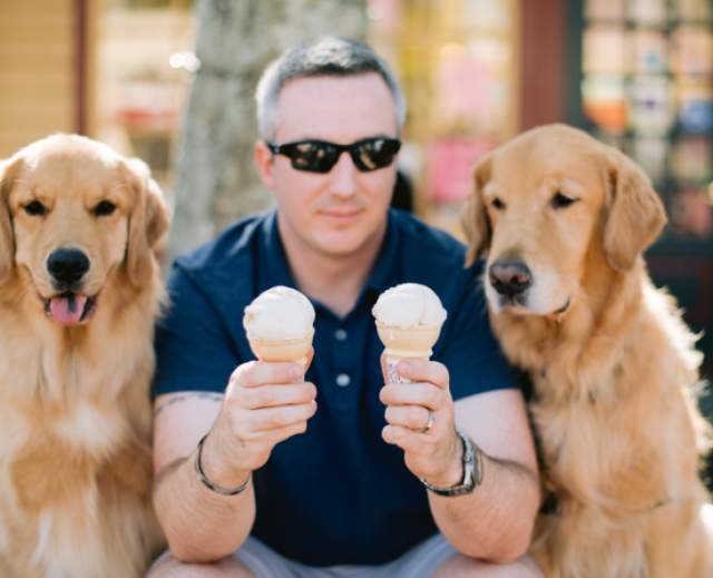 Dogs eating Icecream