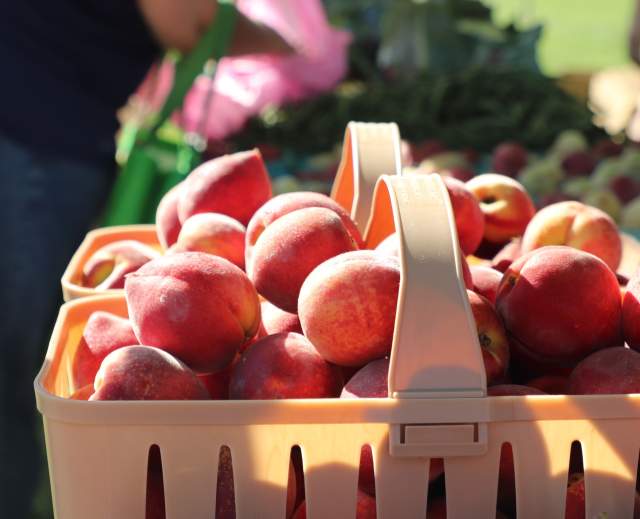 Yorktown Market Days
