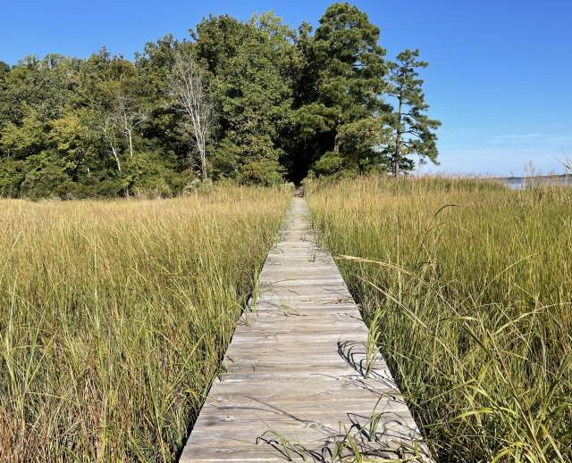 Wildstride Race Series