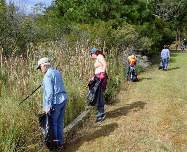 Monthly Volunteer Work Day