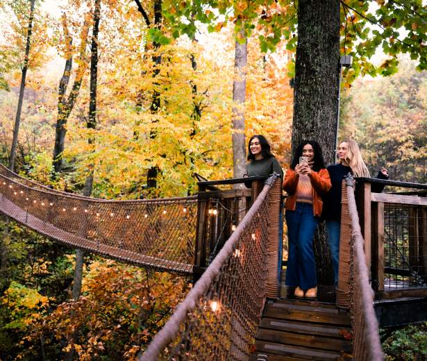 friends fall anakeesta