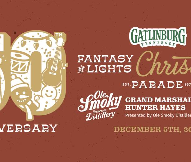 50th anniversary fantasy of lights of parade