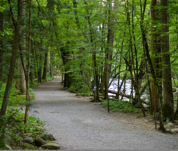 The Gatlinburg Trail