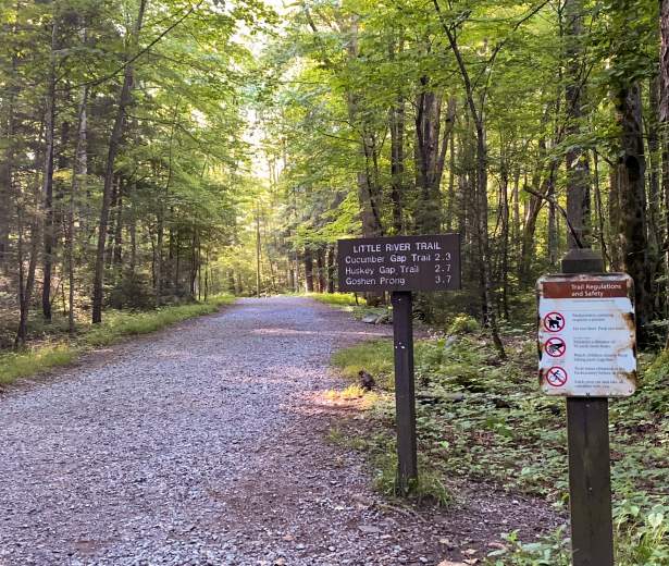 Little River Trail
