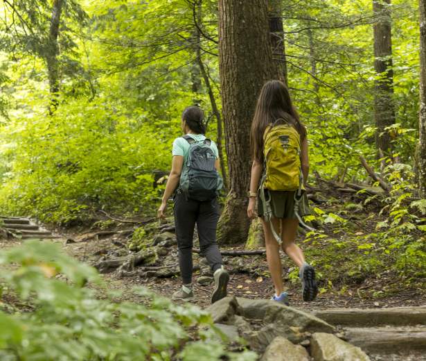 Hiking in Great Smoky Mountains