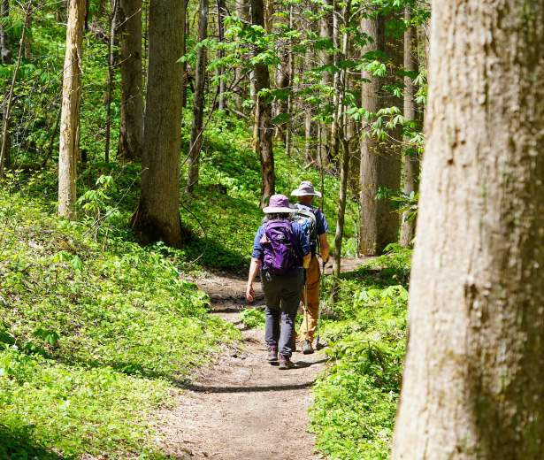 Couple hiking