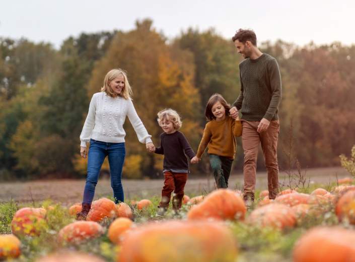 Where to stay for half term