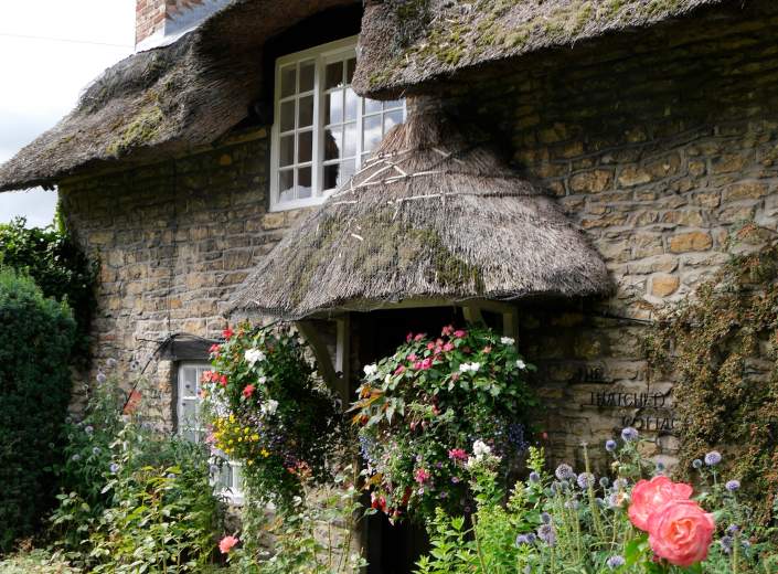 thatched cottage ottery