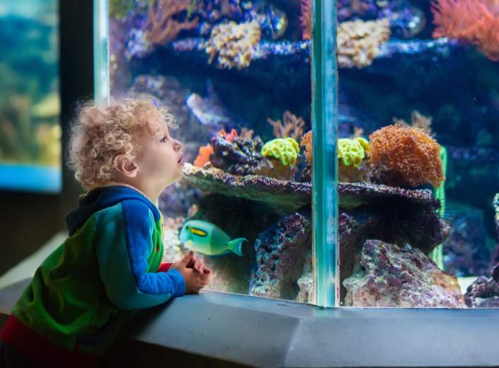 Aquarium