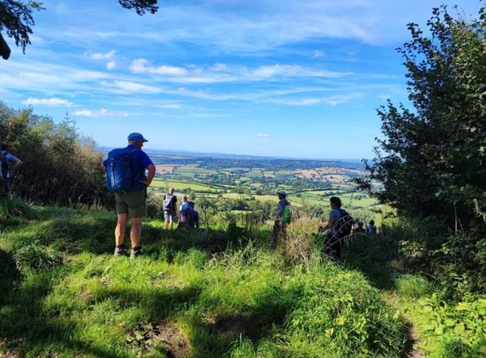 A group of hikers stands on a lush green hillside, overlooking a vast, scenic landscape under a clear blue sky. The mood is peaceful and contemplative.
