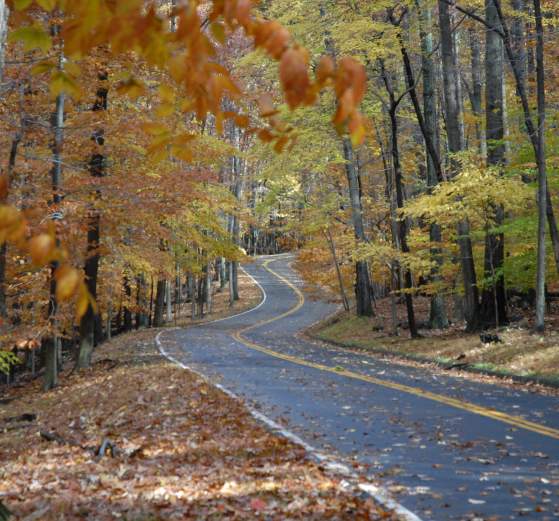 Fall Color Roads
