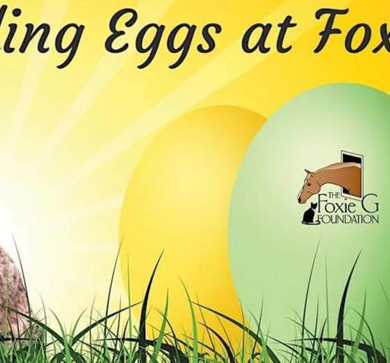 Finding Eggs at Foxie G