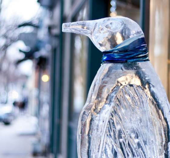 February First Saturday | Fire in Ice