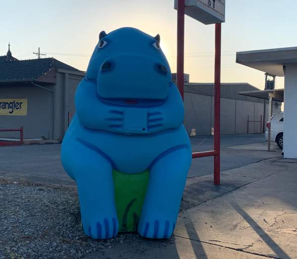Blue Hippo