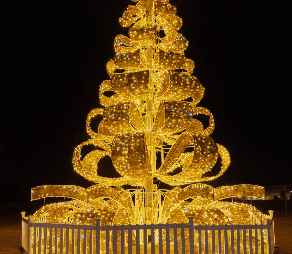 Edmond Electric's Luminance