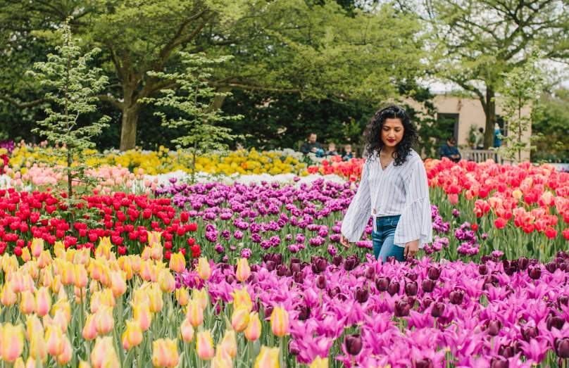 Spring at Longwood Gardens, Women walking through field of tulips