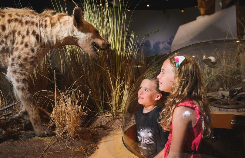 Delaware Museum of Nature & Science