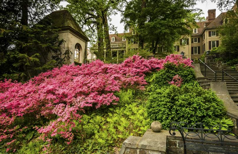 Winterthur Spring Blooms