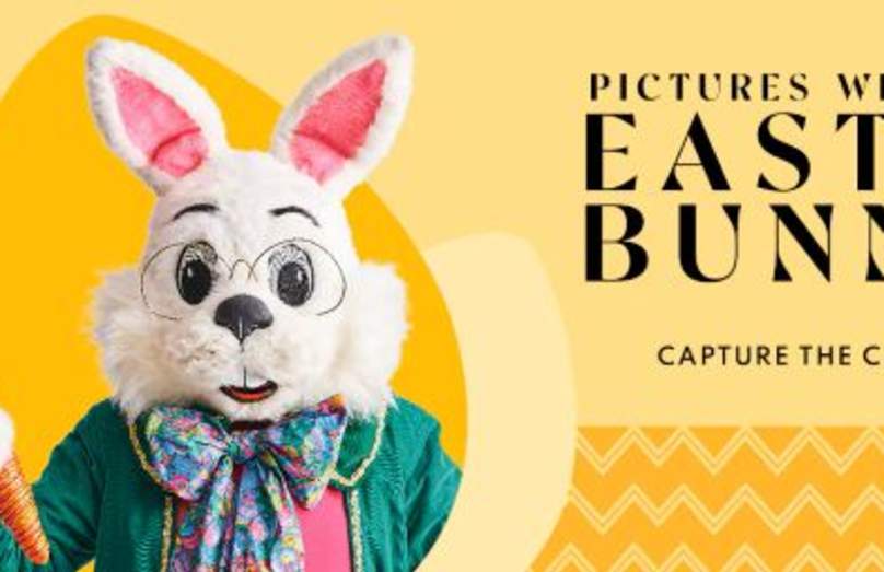 Christiana Mall for Pictures with The Bunny