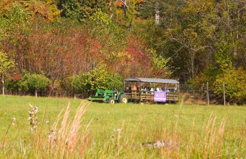 Fall Fun by the Fire – Celebrating Fall Color