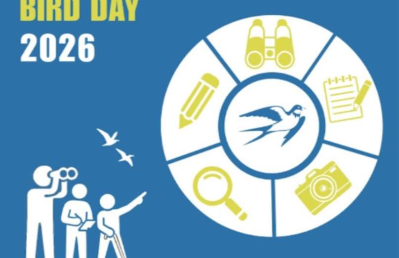 MIGRATORY BIRD DAY @ Brandywine Zoo