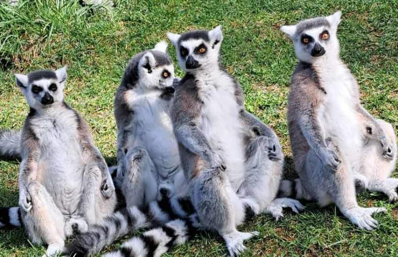 Earth Day Party for the Planet @Brandywine Zoo