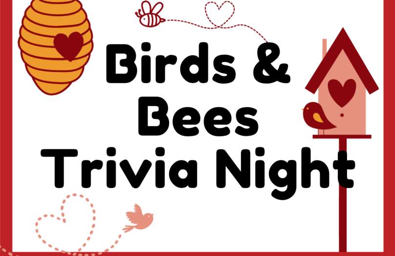 Birds & Bees Trivia Night+21 @ Brandywine Zoo