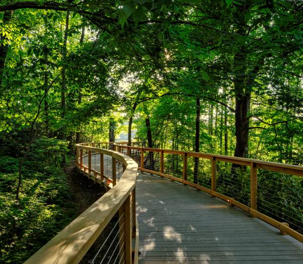 Longwood Meadow Path
