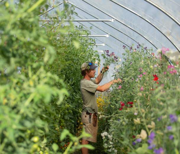2020-July-20-Market-Garden-SMW-3-credit-Sarah-Webb-for-Shelburne-Farms