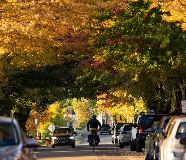 Lake Street in the Fall