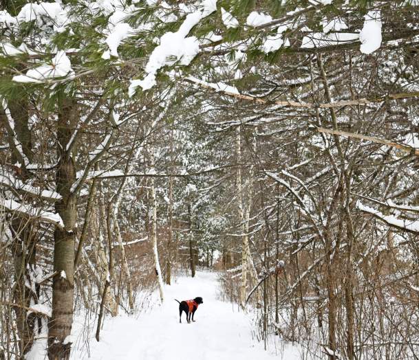 Winter Hiking