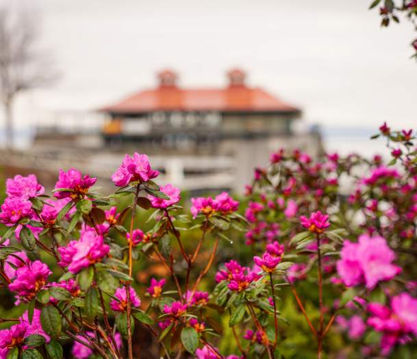 Flowers and Community Boat House - Spring