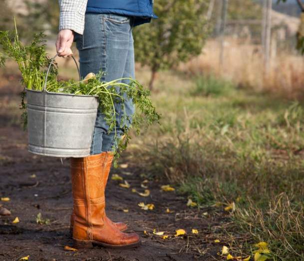 FARMER HOLDING PRODUCE