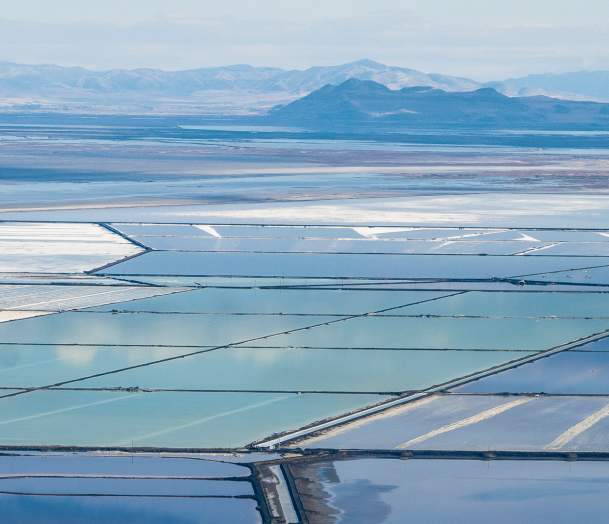 Panel: A Conversation on "Human Impact and Our Environment"