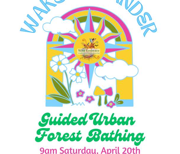 Wake & Wander: Guided Urban Forest Bathing