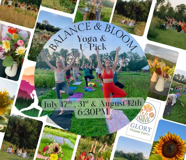 Balance and Bloom ~ Yoga and U-Pick Flowers