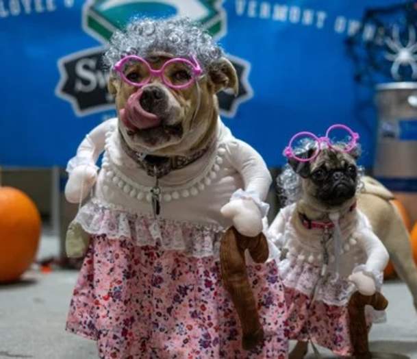 Barktober
