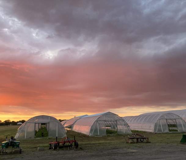Food and Country + Climate Kitchen Conversation