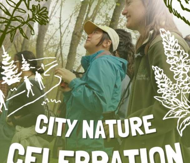 City Nature Celebration