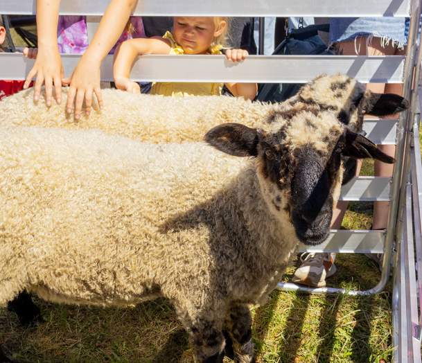 Fiber Fair