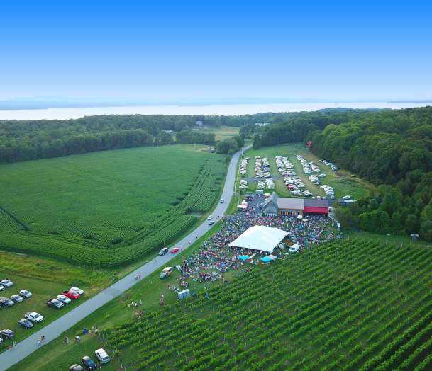 Ryan Sweezey & The Midnight Walkers - Music in The Vineyard