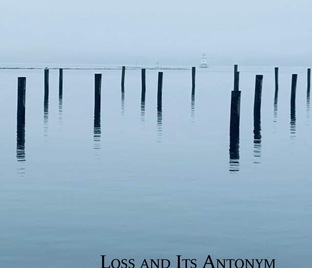 Book Launch Party for Alison Prine's new poetry collection LOSS AND ITS ANTONYM
