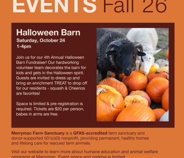 Halloween Barn