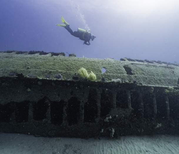 Ice Breaker Speaker Series: