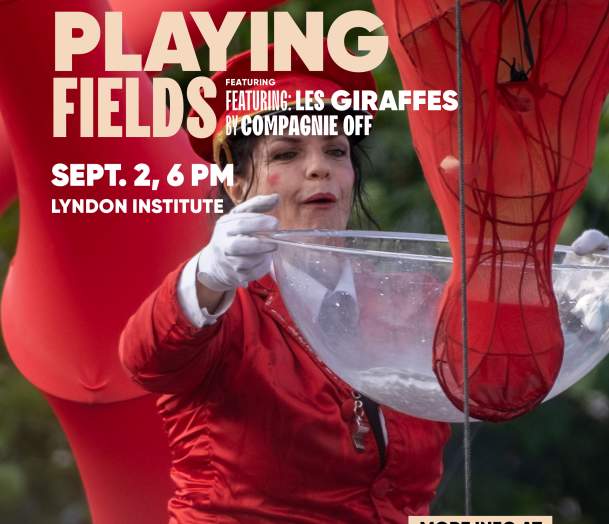 Playing Fields