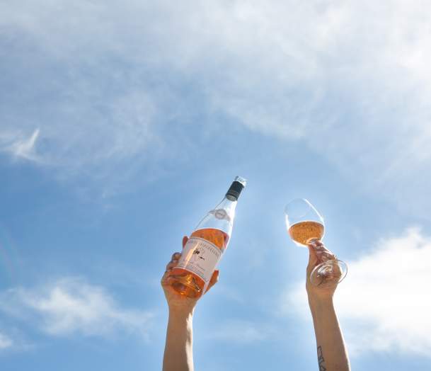Free Wine Tasting: Rosé!