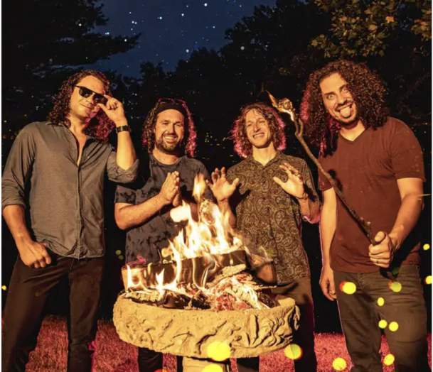 Pigeons Playing Ping Pong